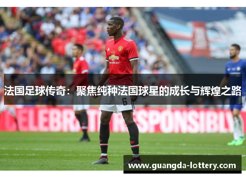 法国足球传奇：聚焦纯种法国球星的成长与辉煌之路